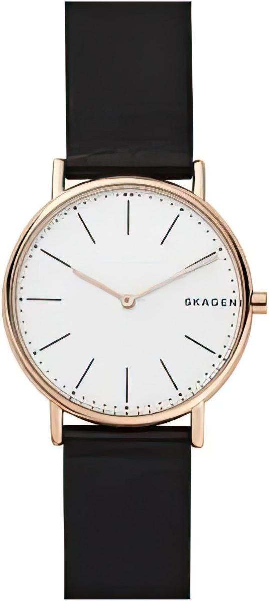 Наручные часы  Skagen  Leather Skagen SKW6430 (фото 1)