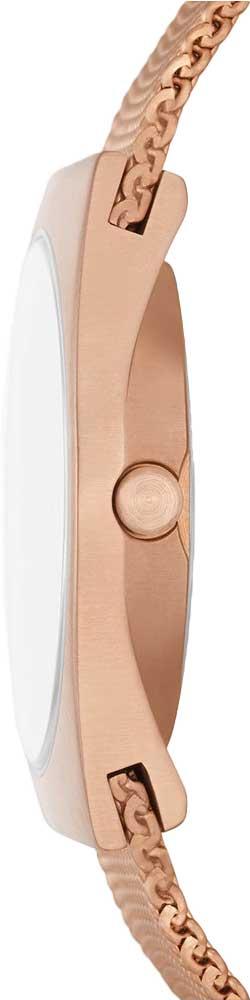 Наручные часы  Skagen  GRENEN Skagen SKW3035 (фото 2)