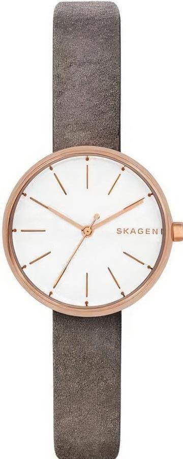 Наручные часы  Skagen  Leather Skagen SKW2644 (фото 1)