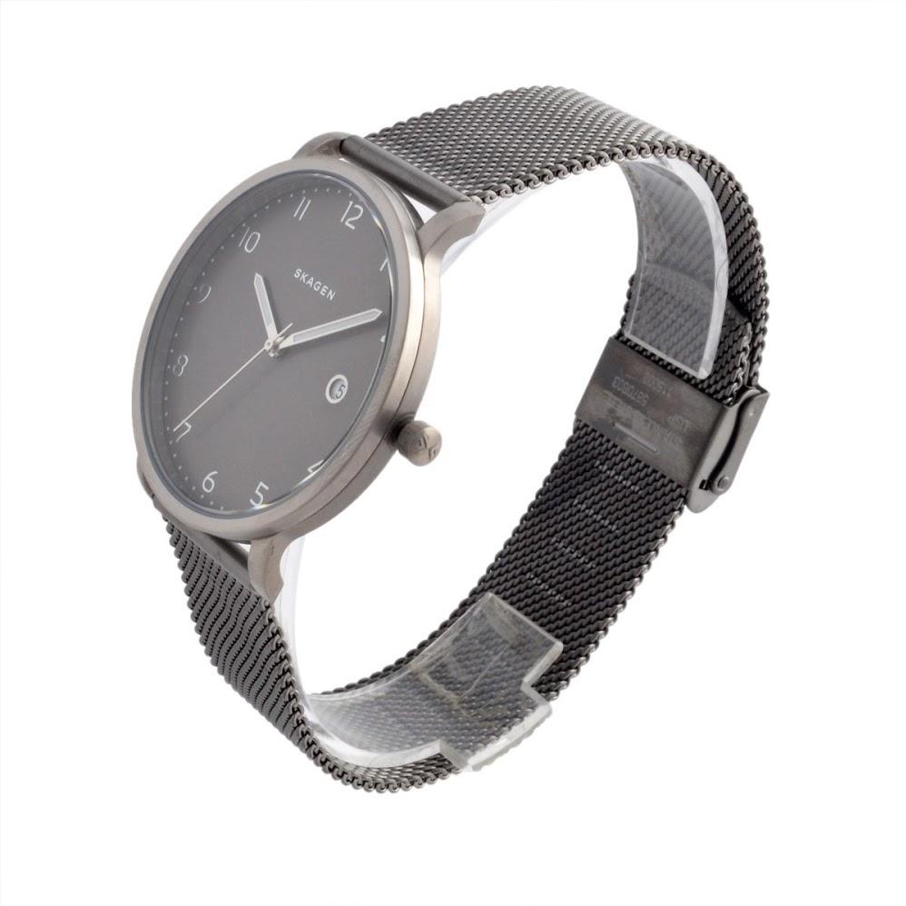 Наручные часы  Skagen  Steel Skagen SKW6307 (фото 2)