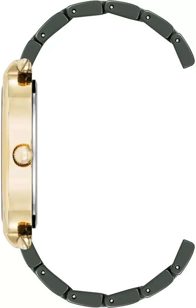 Наручные часы  Anne Klein  Ceramic Anne Klein 5012GPGN (фото 2)