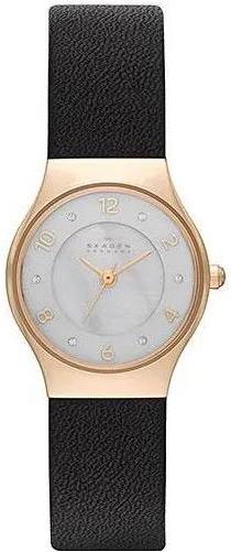 Наручные часы  Skagen  Leather Skagen SKW2209 (фото 1)