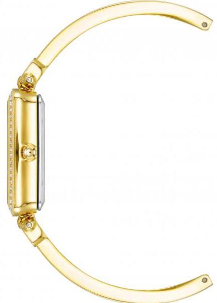 Наручные часы  Anne Klein  Plastic Anne Klein 3898TNST (фото 2)