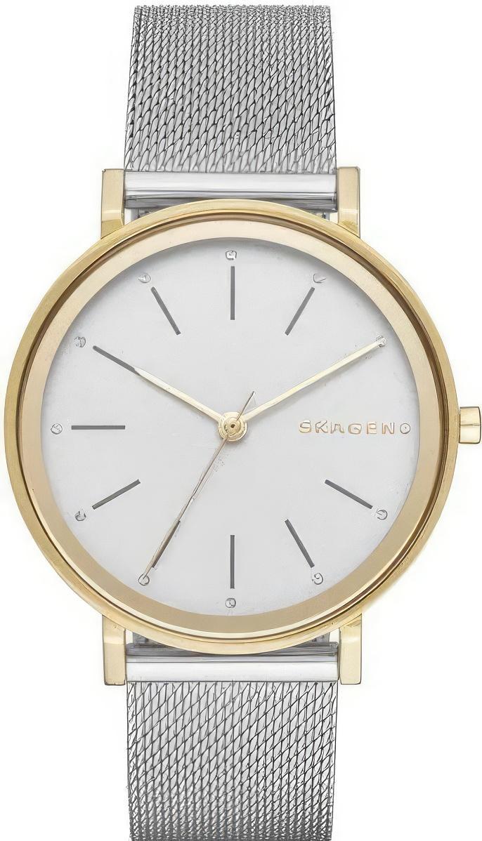 Наручные часы  Skagen  Steel Skagen SKW2508 (фото 1)