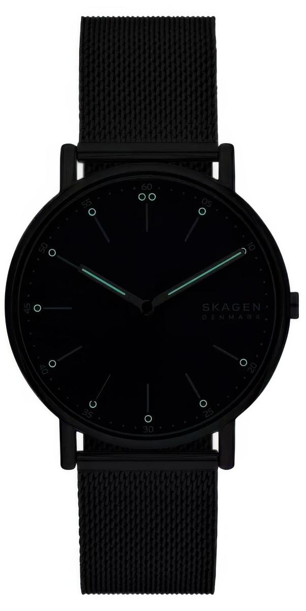 Наручные часы  Skagen  Signatur Skagen SKW6904 (фото 4)