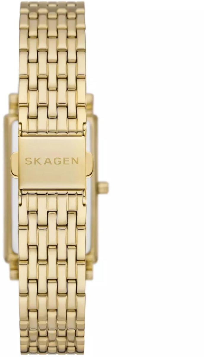 Наручные часы  Skagen  Black Label Skagen SKW3113 (фото 3)