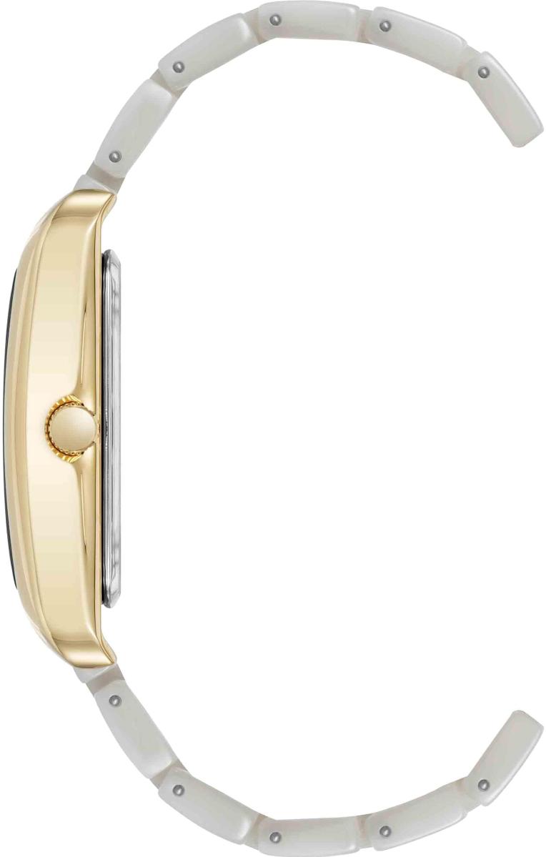 Наручные часы  Anne Klein  Plastic Anne Klein 5290GPIV (фото 2)