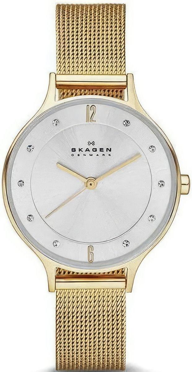 Наручные часы  Skagen  Steel Skagen SKW2150 (фото 1)