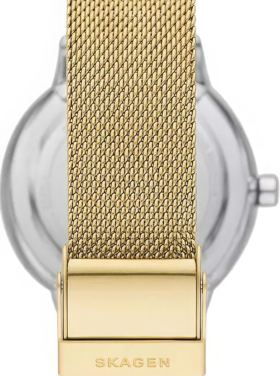 Наручные часы  Skagen  Kuppel Skagen SKW3101 (фото 2)