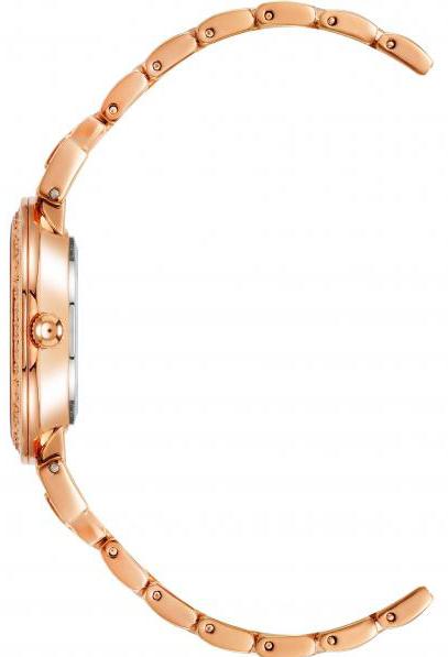 Наручные часы  Anne Klein  Box Set Anne Klein 2928BRST (фото 2)