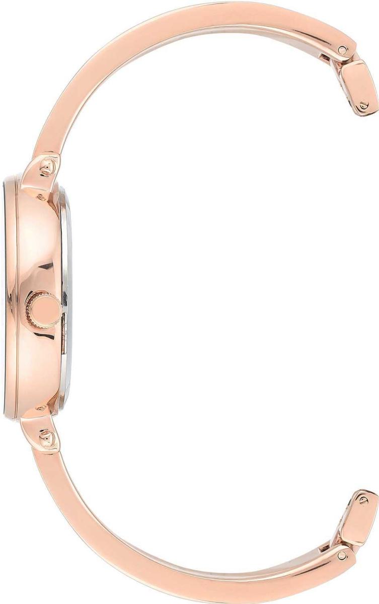 Наручные часы  Anne Klein  Box Set Anne Klein 3620WTST (фото 2)