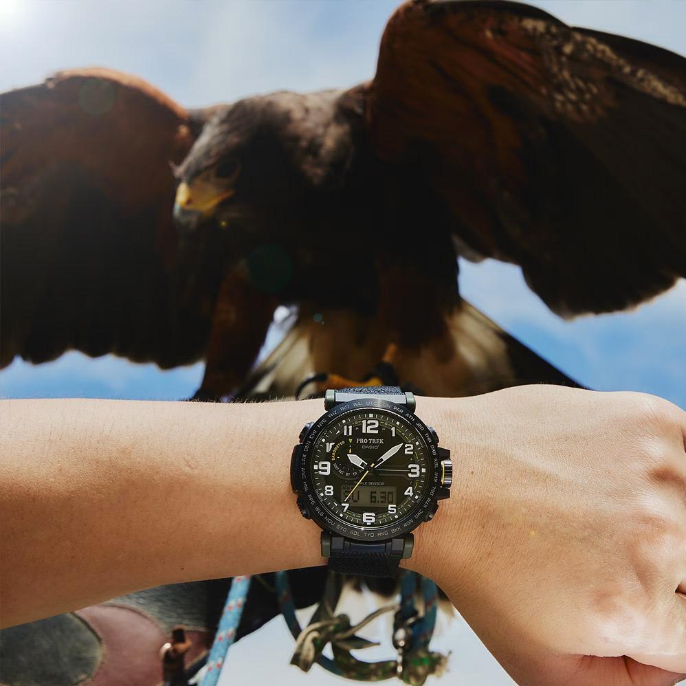 Наручные часы  Casio  ProTrek Casio PRG-601YB-3E (фото 4)