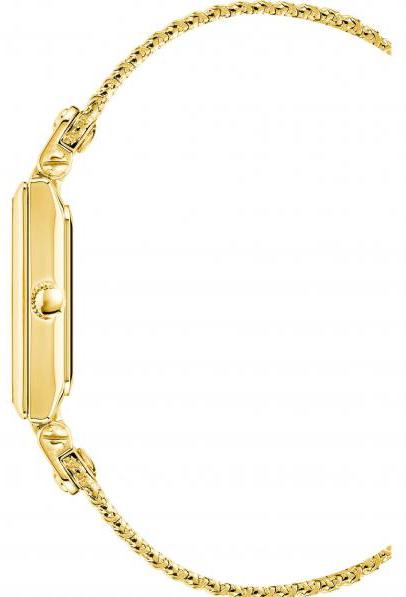 Наручные часы  Anne Klein  Steel Anne Klein 3882CHGB (фото 2)