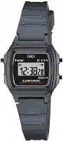 Наручные часы Q&Q LLA2J201Y