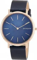 Наручные часы Skagen SKW2731
