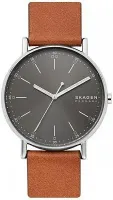 Наручные часы Skagen SKW6578