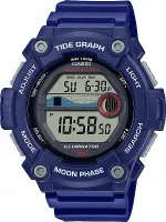 Наручные часы Casio WS-1300H-2A