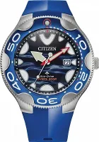 Наручные часы Citizen BN0238-02L