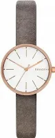 Наручные часы Skagen SKW2644