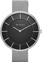 Наручные часы Skagen SKW2561