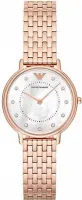 Наручные часы Emporio Armani AR11006