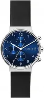 Наручные часы Skagen SKW6417