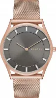 Наручные часы Skagen SKW2378