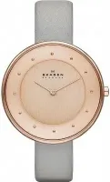 Наручные часы Skagen SKW2139