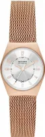 Наручные часы Skagen SKW3035