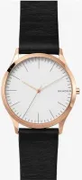 Наручные часы Skagen SKW1102