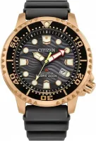 Наручные часы Citizen BN0163-00H