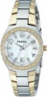 Наручные часы Fossil AM4183