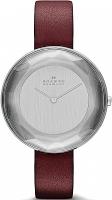Наручные часы Skagen SKW2273