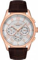Наручные часы Daniel Klein 13676-3