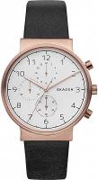 Наручные часы Skagen SKW6371