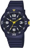 Наручные часы Q&Q V02AJ016Y