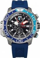 Наручные часы Citizen BJ2169-08E