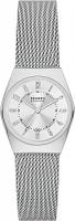 Наручные часы Skagen SKW3038