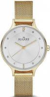 Наручные часы Skagen SKW2150