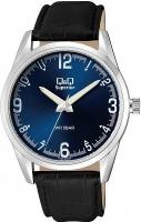 Наручные часы Q&Q C20AJ009Y