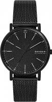 Наручные часы Skagen SKW6579