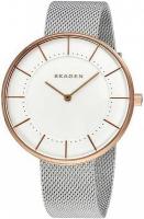 Наручные часы Skagen SKW2583