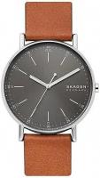Наручные часы Skagen SKW6578