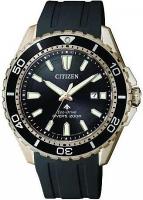 Наручные часы Citizen BN0193-17E