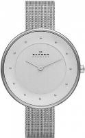Наручные часы Skagen SKW2140