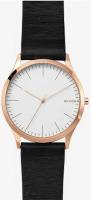 Наручные часы Skagen SKW1102