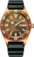 Наручные часы Citizen NY0125-08W