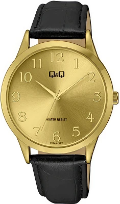 Q&Q C10AJ022Y