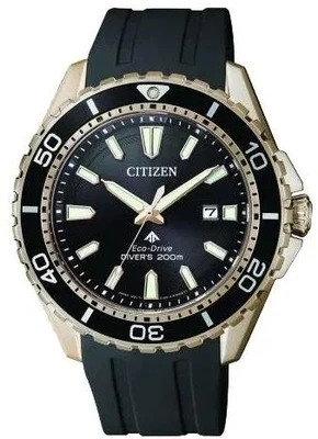 Citizen Eco Drive BN0193-17E