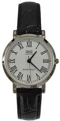 Q&Q Casual Q979J813Y